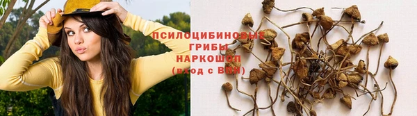 молекула духа Нефтегорск