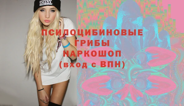 круглые Новодвинск